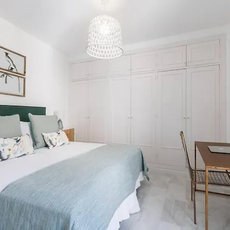 Behouse Alfalfa Siviglia